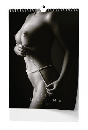 Kalendář nástěnný Imagine - A3 2026 / 45cm x 32cm / BNE9-26