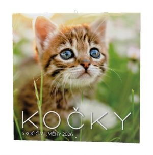 Kalendář nástěnný Kočky 2026 / 57cm x 28,5cm / BNL1-26