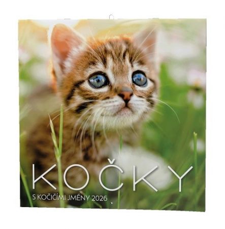 Kalendář nástěnný Kočky 2026 / 57cm x 28,5cm / BNL1-26