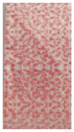 Dárkový sáček celofánový červené kvítka 30 x 35cm balení 1ks