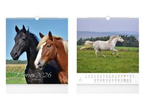 Kalendář nástěnný malý Horses 2026 / 39cm x 32cm / 1061636