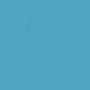 Ubrousky PAW Uni L 20ks Turquoise