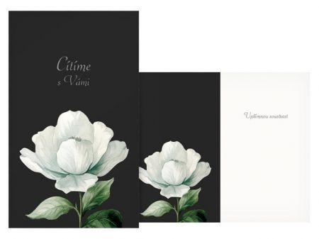 Přání kondolenční M13-090 T