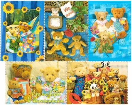 Pohlednice 300040 DASAO