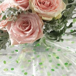 Celofan 100x130 /50/ POINT ECRU