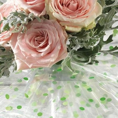 Celofan 100x130 /50/ POINT ECRU