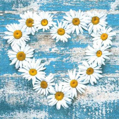 Ubrousky MAKI L (20ks) Daisy Hearts on Old Wooden Background