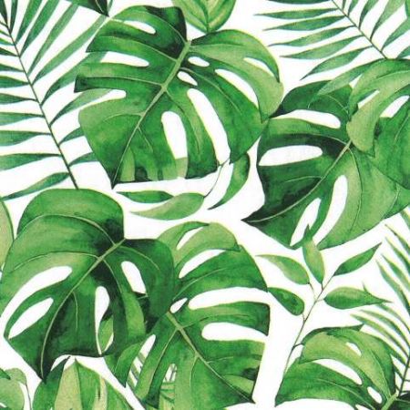 Ubrousky PAW TETE L (20ks) Monstera