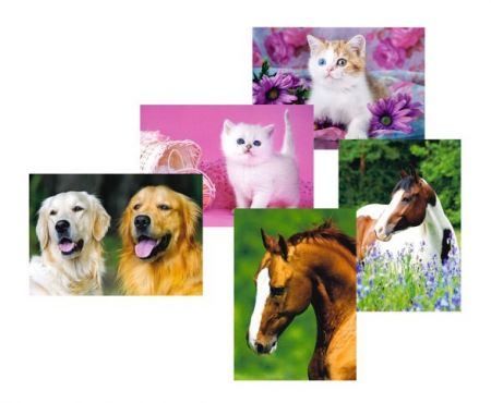 Pohlednice zvířátka mix