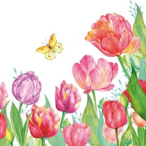 Ubrousky DAISY L (20ks) Watercolor Tulips