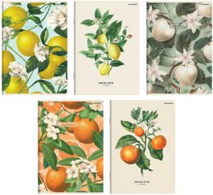 Sešit A5 60 listů Summer linkované