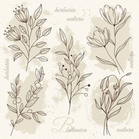 Ubrousky DAISY L (20ks) beige Flower Illustration on Watercolor Paper