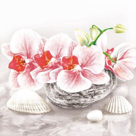 Ubrousky DAISY L (20ks) Orchid on Oriental Stone with Shelss