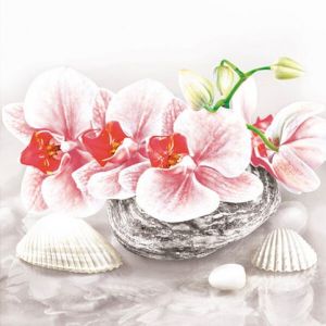 Ubrousky DAISY L (20ks) Orchid on Oriental Stone with Shelss