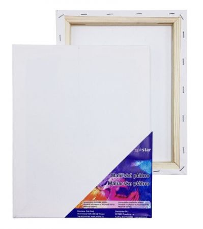 Plátno malířské 40 x 60 cm