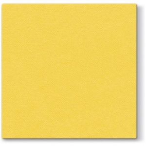PAW AAN00402 ubr.40x40 50ks žlutá