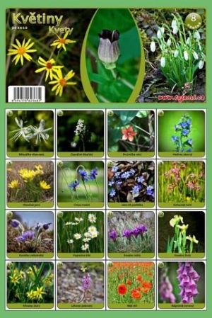 MP pexeso A4 Květiny