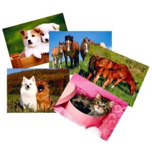 Pohlednice S-384 Zvířátka mix