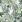 Ubrousky DAISY L (20ks) Green Leaves Wallpaper