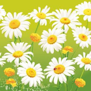Ubrousky DAISY L (20ks) Lovely Marguerites on Green