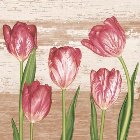 Ubrousky DAISY L (20ks) Tulips in Vintage Backgroud