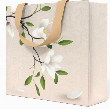 Papírová taška Anna Style CD TE7/235