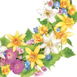 Ubrousky 33 x 33 cm DAISY 20 ks