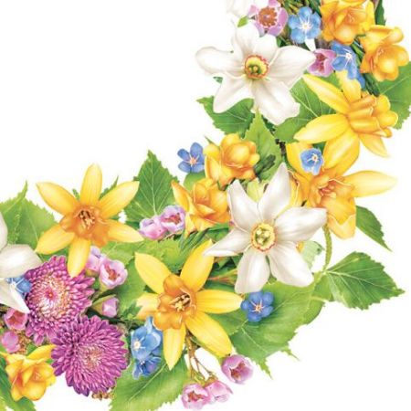 Ubrousky 33 x 33 cm DAISY 20 ks