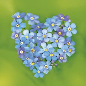 Ubrousky 33 x 33 cm DAISY 20 ks