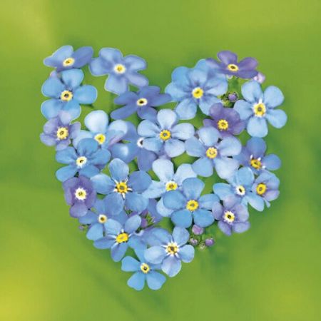 Ubrousky 33 x 33 cm DAISY 20 ks