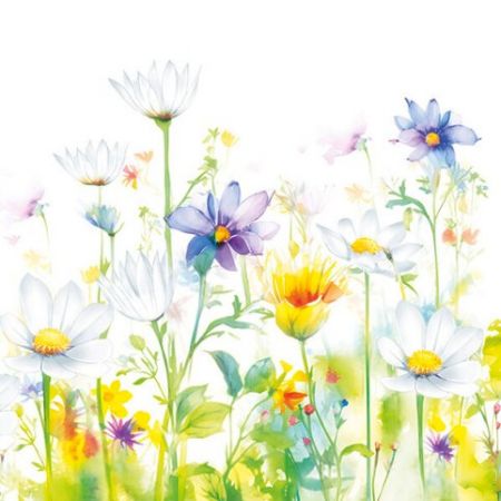 Ubrousky DAISY C (20ks) Beautifull Flower Meadow