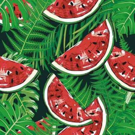 Ubrousky DAISY L (20ks) Watermelon on Green Fern Leaves