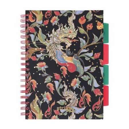 Blok Strigo B5/100l 80g Drak spirála s rozřaďovačem