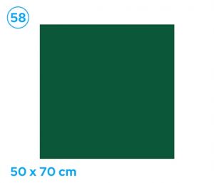 Papír barevný 50 x 70cm zelený tmavě