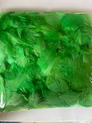 Peří barevné 10g zelené 