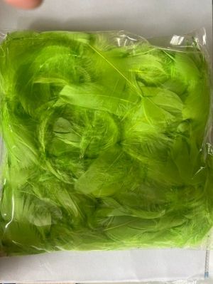 Peří barevné 10g světlě zelené