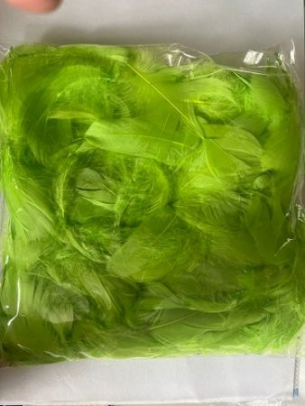 Peří barevné 10g světlě zelené