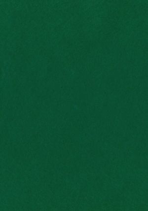 Dekorační plsť, 140 g, zelená