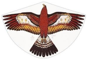 Drak KA3059 Orel 148x99