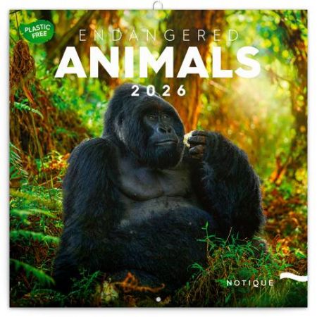 Kalendář nástěnný poznámkový Ohrožené druhy 2026, 30 x 30 cm / PGP-35673