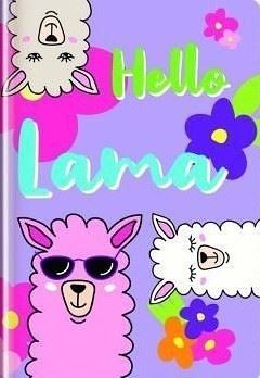 Bezdatumový diář Lama Collection Diář 135x195 mm linka