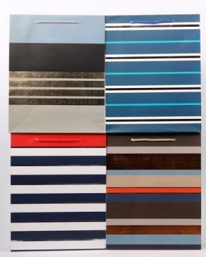 Dárková taška 31x42x12cm Hot Stamping Color Lines