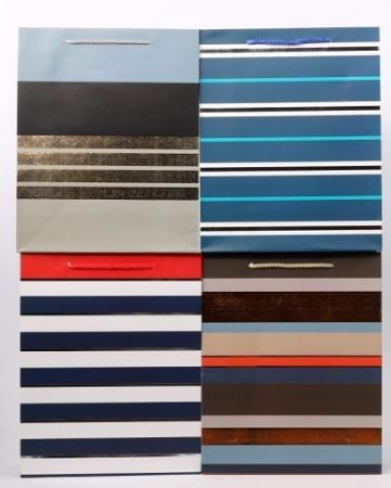 Dárková taška 31x42x12cm Hot Stamping Color Lines