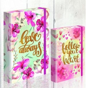 Školní box A4 s gumou Dream Collection