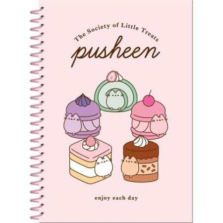 Pusheen set - kroužkový blok a samolepky DPL10