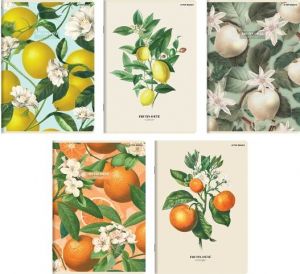 TOP 2000 - Sešit Top 2000 Letní ovoce A5/60 listů, linkovaný, mix