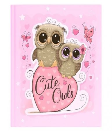 Fotoalbum 10x15/100/2 B46100/2S BABY08