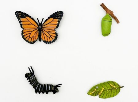 Figurka Motýl Monarcha stěhovavý 4 vývojové fáze 8 cm