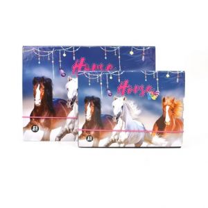 Sada boxů na sešity A4 + A5, kůň