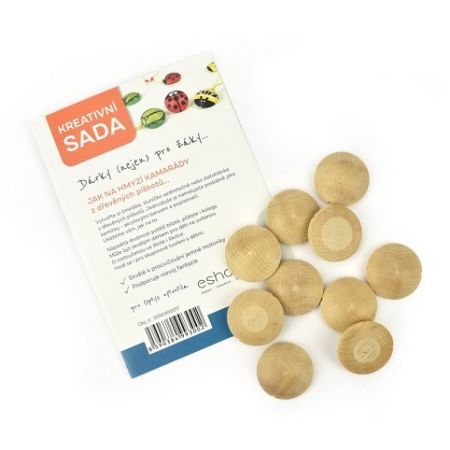 Kreativní sada, hmyzí kamarádi